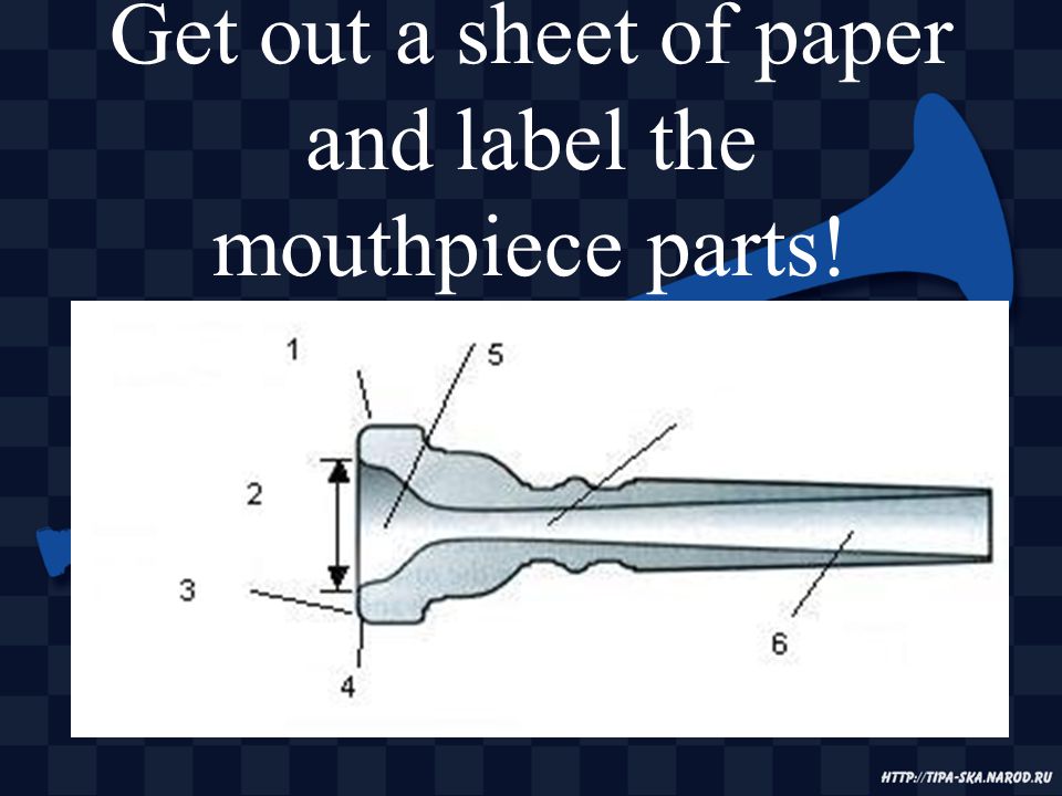 Get out a sheet of paper and label the mouthpiece parts!