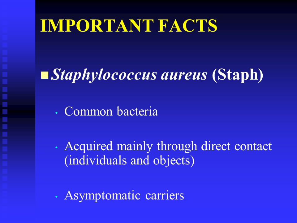 importance of staphylococcus aureus