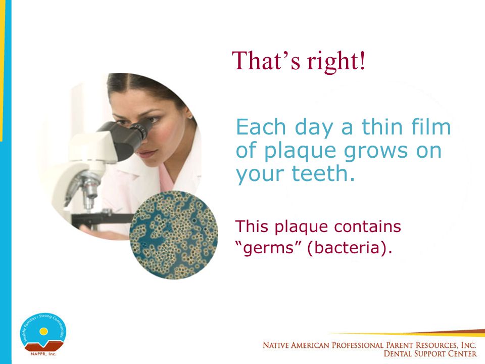 That’s right. Each day a thin film of plaque grows on your teeth.
