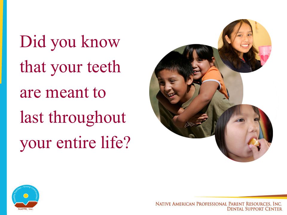 Did you know that your teeth are meant to last throughout your entire life