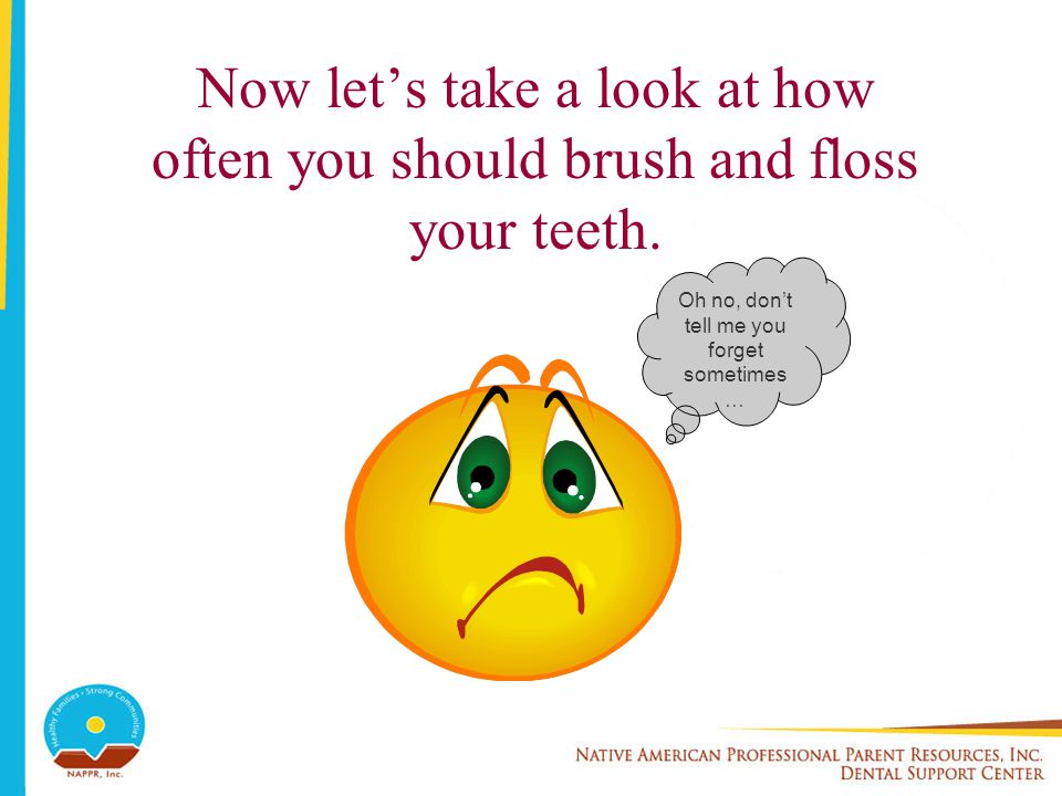 Now let’s take a look at how often you should brush and floss your teeth.