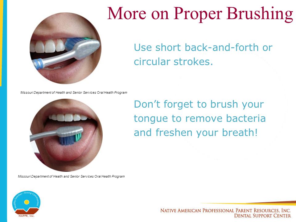 More on Proper Brushing Use short back-and-forth or circular strokes.