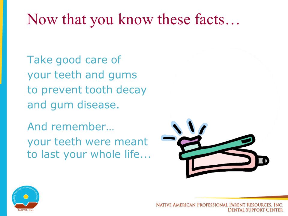 Now that you know these facts… Take good care of your teeth and gums to prevent tooth decay and gum disease.