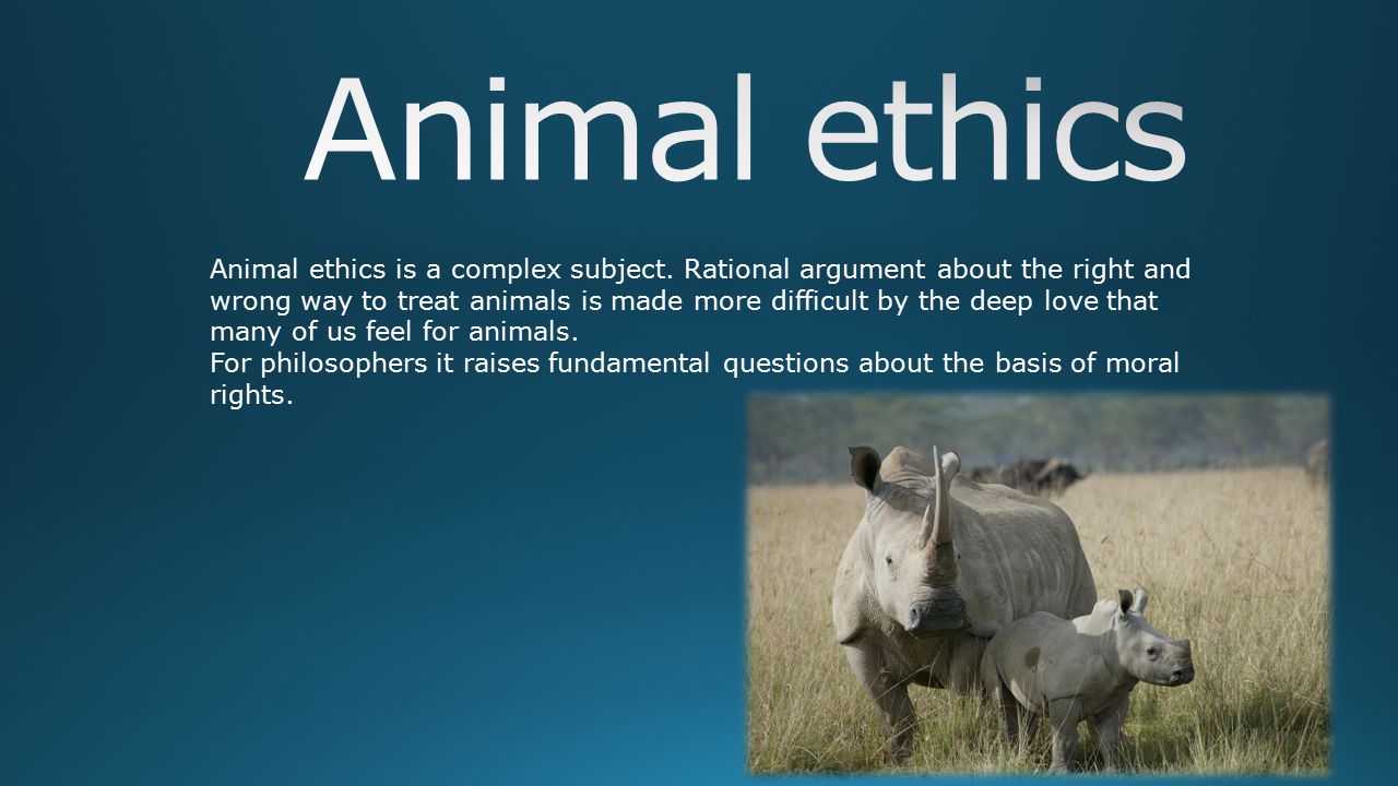 Animal ethics is a complex subject. Rational argument about the right and  wrong way to treat animals is made more difficult by the deep love that  many. - ppt download