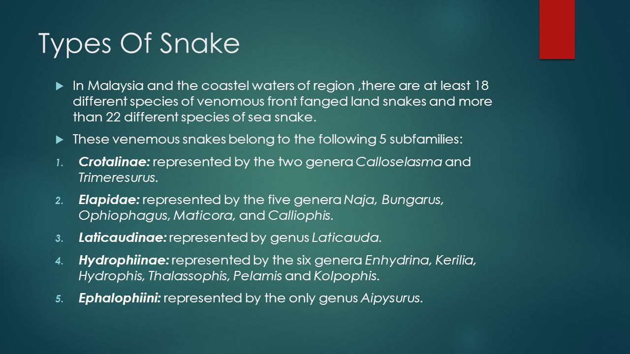 Types Of Snake  In Malaysia and the coastel waters of region,there are at least 18 different species of venomous front fanged land snakes and more than 22 different species of sea snake.