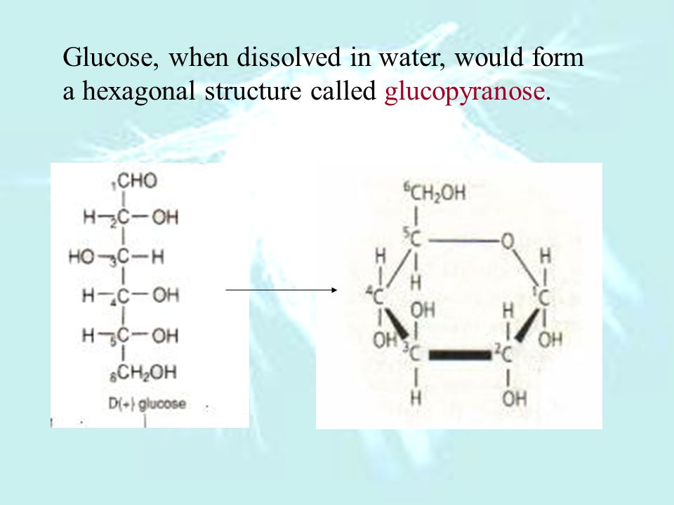 (4) After dropped into water, monosaccharides would coil up to form pentagon rings or hexagon rings.