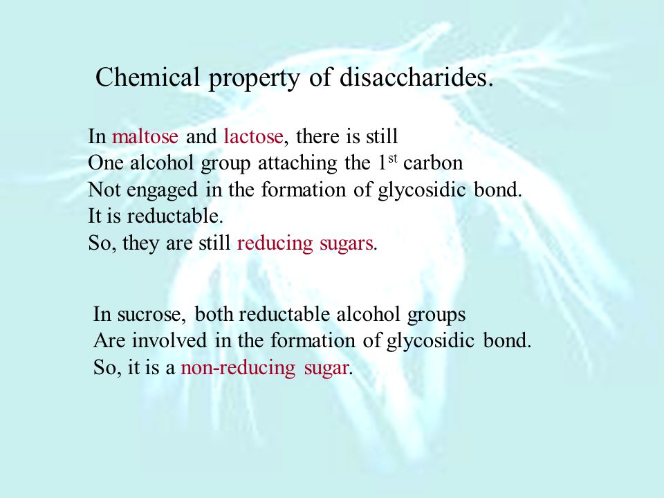 Physical property of disaccharides.