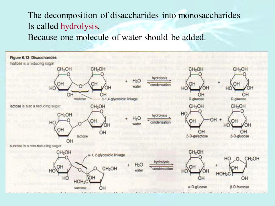 Chemical property of disaccharides.