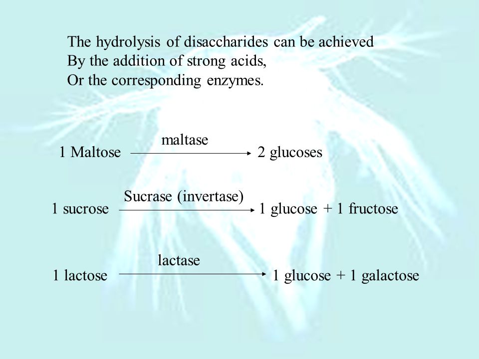 The decomposition of disaccharides into monosaccharides Is called hydrolysis, Because one molecule of water should be added.