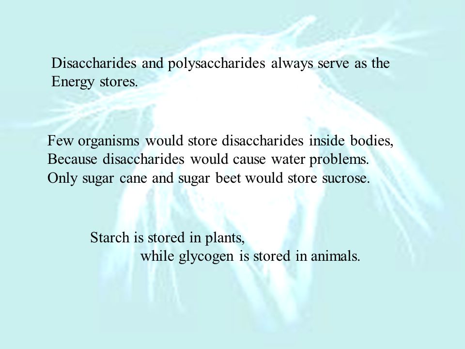 Physical property of polysaccharides.