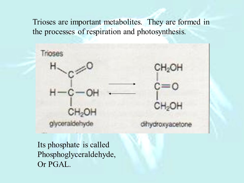 Monosaccharides can also be classified According to the amount of carbon atoms They contain.