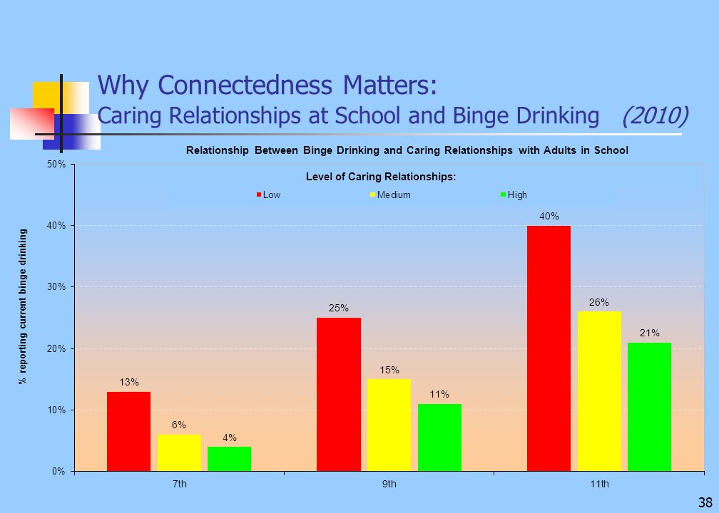 38 Why Connectedness Matters: Caring Relationships at School and Binge Drinking (2010)