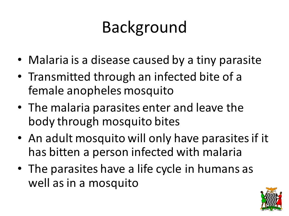 Background Malaria is a disease caused by a tiny parasite Transmitted through an infected bite of a female anopheles mosquito The malaria parasites enter and leave the body through mosquito bites An adult mosquito will only have parasites if it has bitten a person infected with malaria The parasites have a life cycle in humans as well as in a mosquito