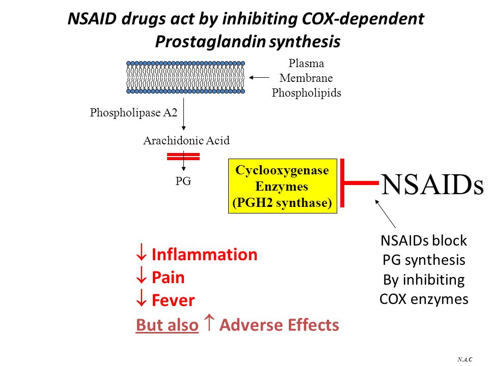 Analgesic Nephropathy A Background Nsaids Overview And Clincial
