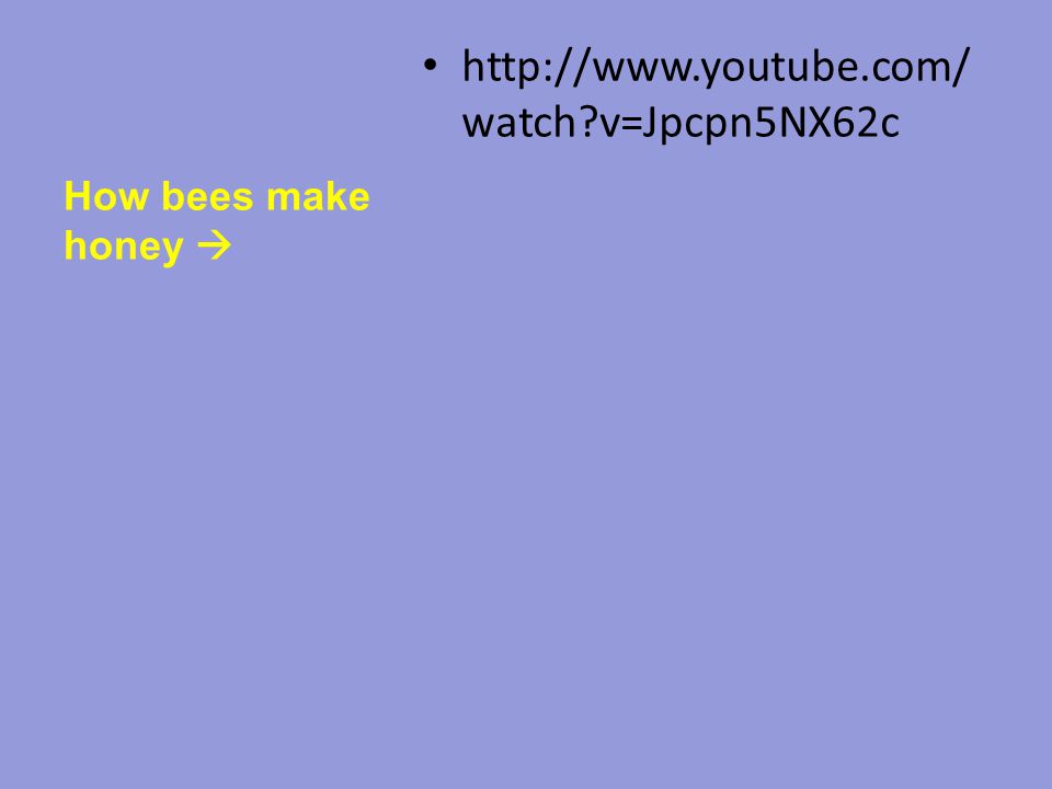 watch v=Jpcpn5NX62c How bees make honey 