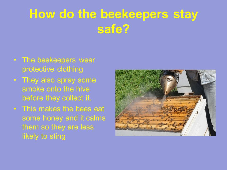 How do the beekeepers stay safe.