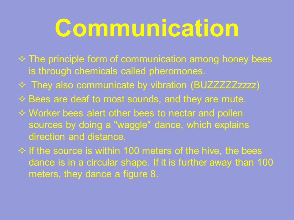 Communication  The principle form of communication among honey bees is through chemicals called pheromones.