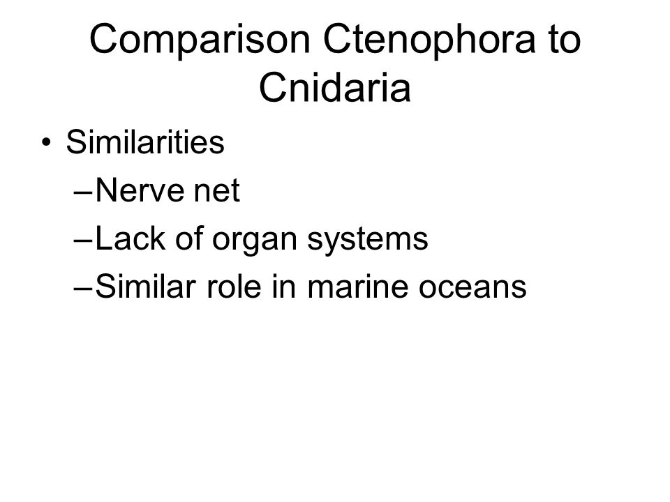 Similarities –Nerve net –Lack of organ systems –Similar role in marine oceans Comparison Ctenophora to Cnidaria