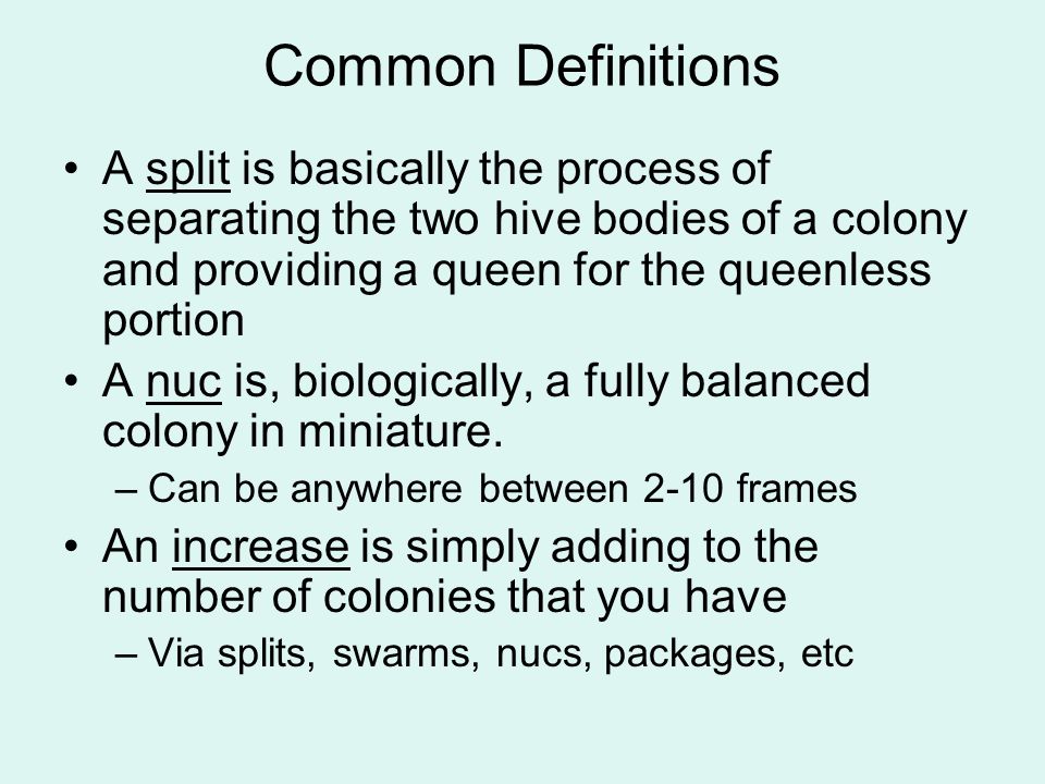 Common Definitions A split is basically the process of separating the two hive bodies of a colony and providing a queen for the queenless portion A nuc is, biologically, a fully balanced colony in miniature.
