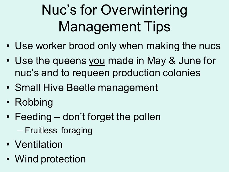 Nuc’s for Overwintering Management Tips Use worker brood only when making the nucs Use the queens you made in May & June for nuc’s and to requeen production colonies Small Hive Beetle management Robbing Feeding – don’t forget the pollen –Fruitless foraging Ventilation Wind protection