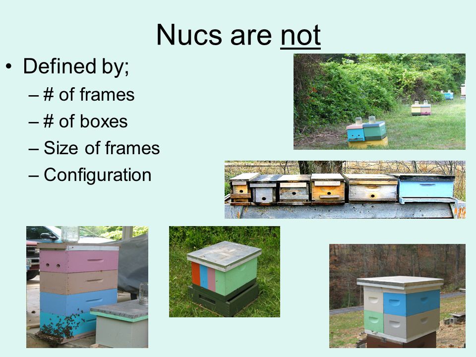 Nucs are not Defined by; –# of frames –# of boxes –Size of frames –Configuration