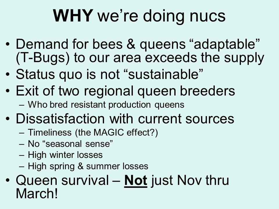 WHY we’re doing nucs Demand for bees & queens adaptable (T-Bugs) to our area exceeds the supply Status quo is not sustainable Exit of two regional queen breeders –Who bred resistant production queens Dissatisfaction with current sources –Timeliness (the MAGIC effect ) –No seasonal sense –High winter losses –High spring & summer losses Queen survival – Not just Nov thru March!