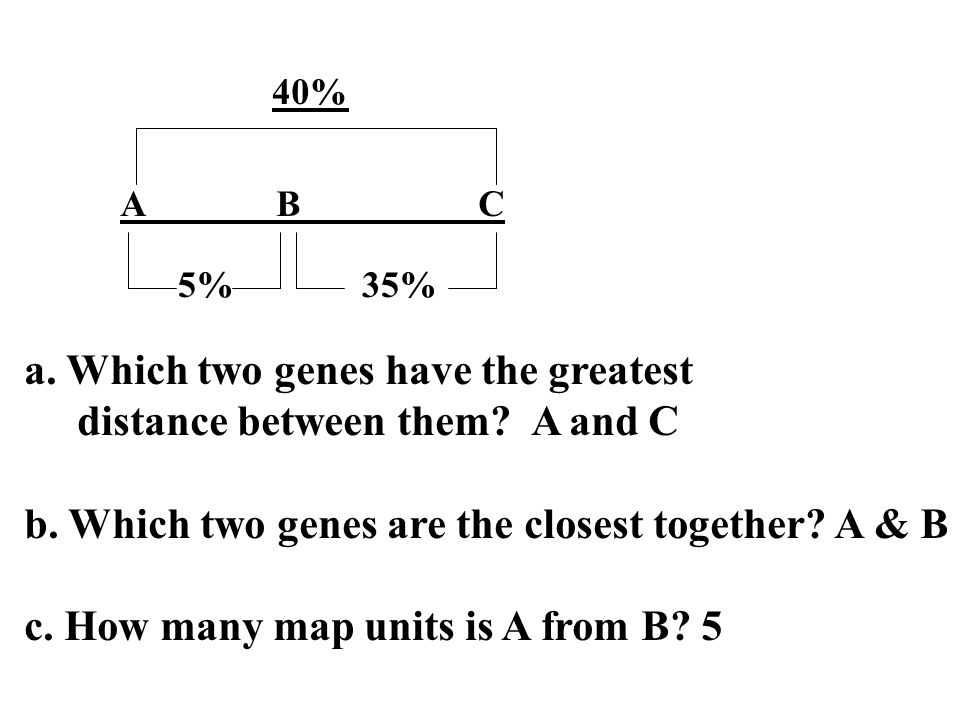 A B C 5%35% 40% a. Which two genes have the greatest distance between them.
