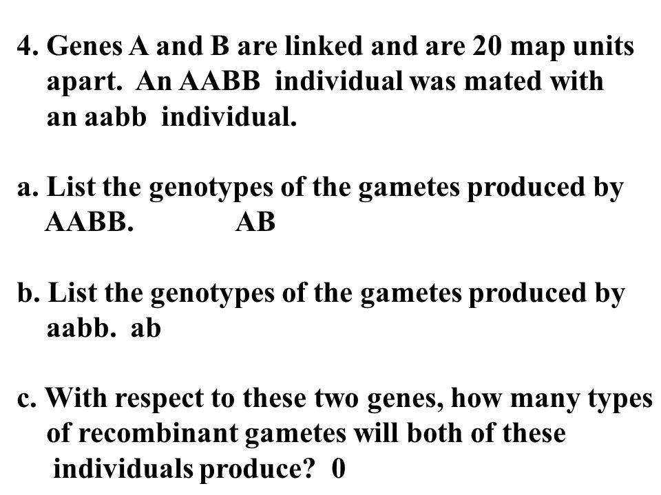 4. Genes A and B are linked and are 20 map units apart.