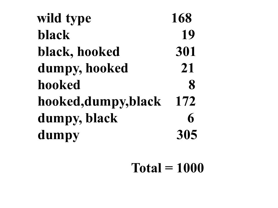 wild type 168 black 19 black, hooked 301 dumpy, hooked 21 hooked 8 hooked,dumpy,black 172 dumpy, black 6 dumpy 305 Total = 1000