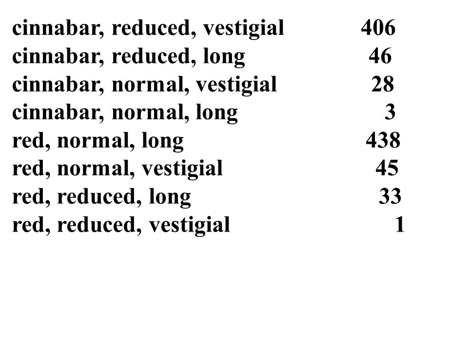 cinnabar, reduced, vestigial 406 cinnabar, reduced, long 46 cinnabar, normal, vestigial 28 cinnabar, normal, long 3 red, normal, long 438 red, normal, vestigial 45 red, reduced, long 33 red, reduced, vestigial 1