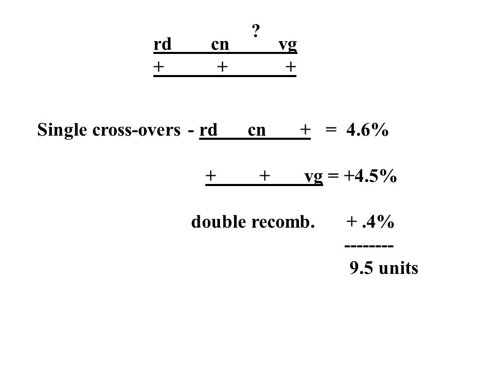 rd cn vg Single cross-overs - rd cn + = 4.6% + + vg = +4.5% double recomb.