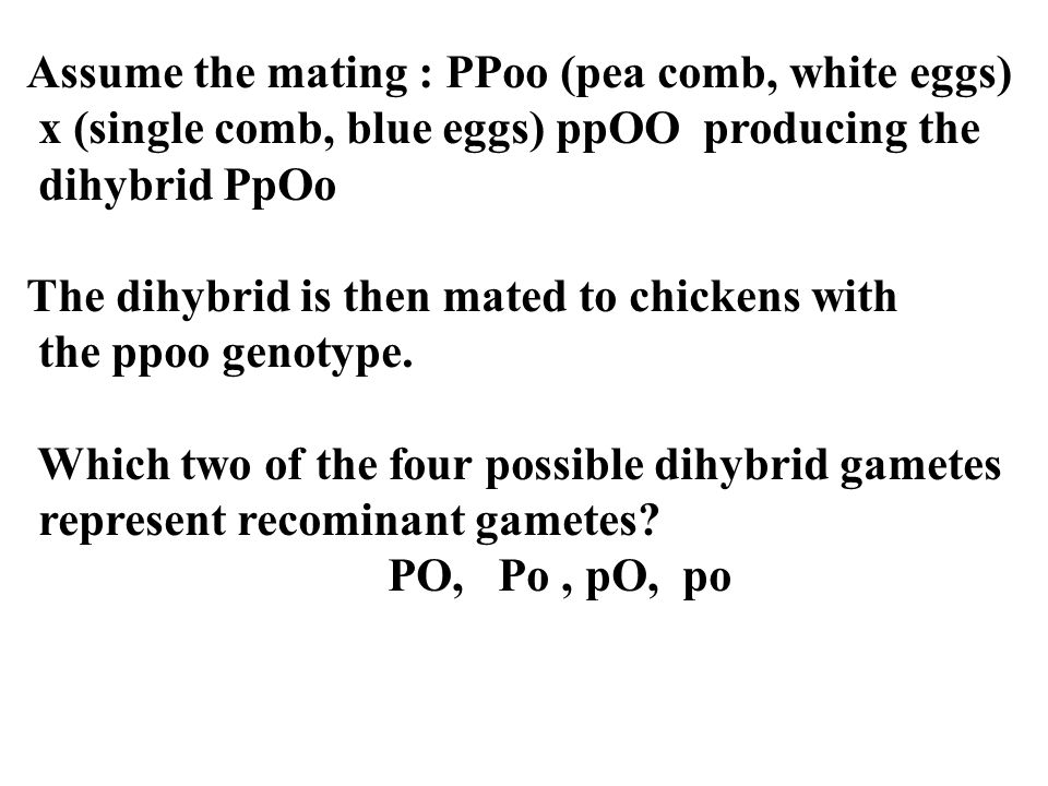 Assume the mating : PPoo (pea comb, white eggs) x (single comb, blue eggs) ppOO producing the dihybrid PpOo The dihybrid is then mated to chickens with the ppoo genotype.