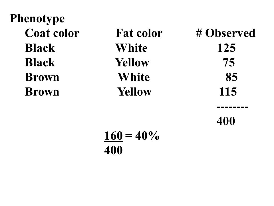 Phenotype Coat color Fat color # Observed Black White 125 Black Yellow 75 Brown White 85 Brown Yellow = 40% 400