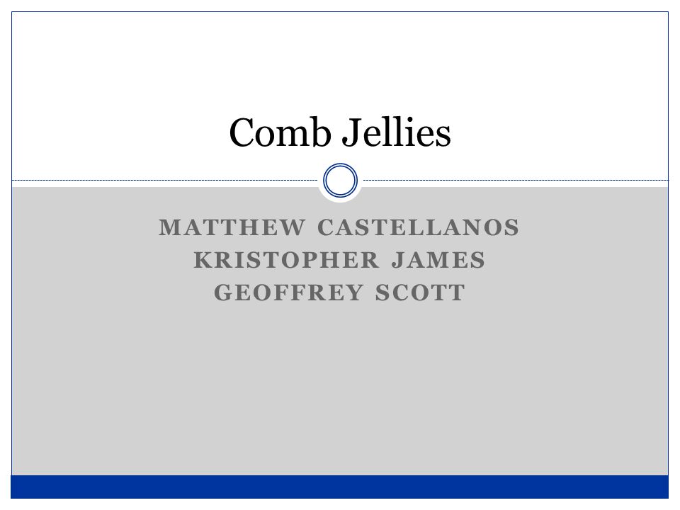 MATTHEW CASTELLANOS KRISTOPHER JAMES GEOFFREY SCOTT Comb Jellies