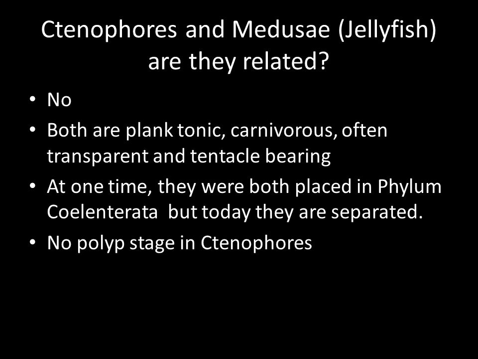 Ctenophores and Medusae (Jellyfish) are they related.