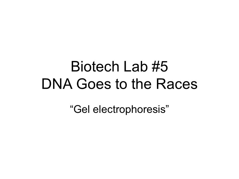 Biotech Lab #5 DNA Goes to the Races Gel electrophoresis