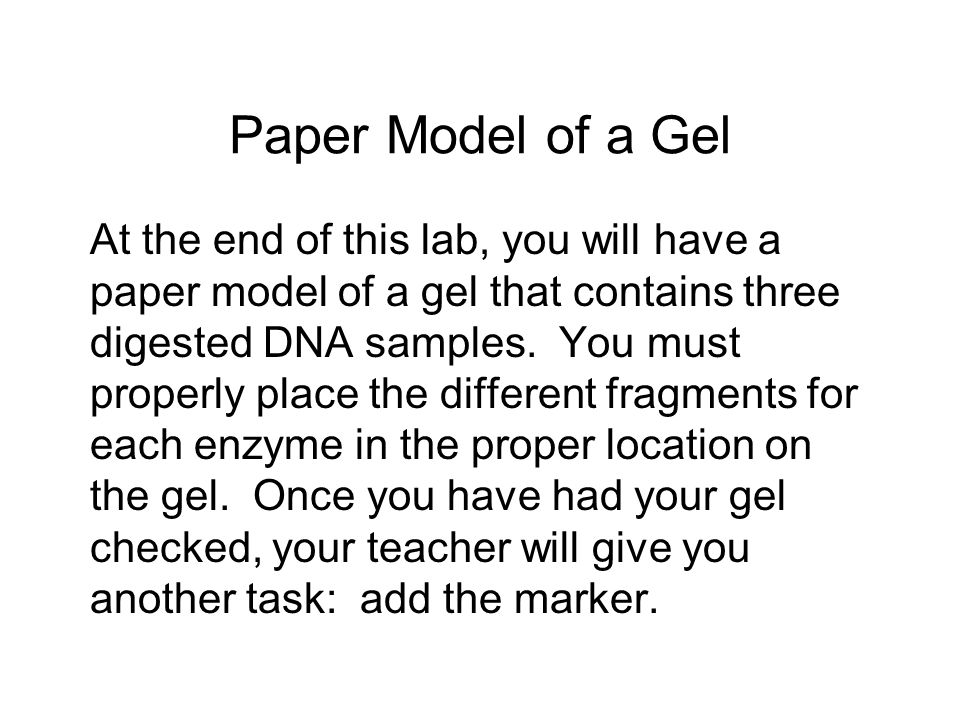 Paper Model of a Gel At the end of this lab, you will have a paper model of a gel that contains three digested DNA samples.