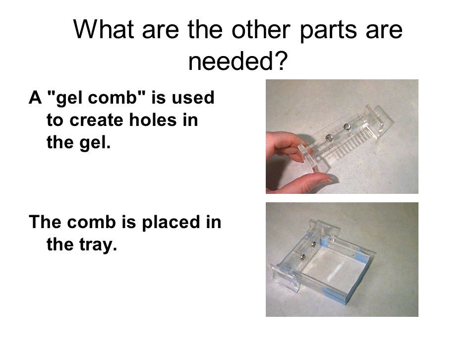 What are the other parts are needed. A gel comb is used to create holes in the gel.
