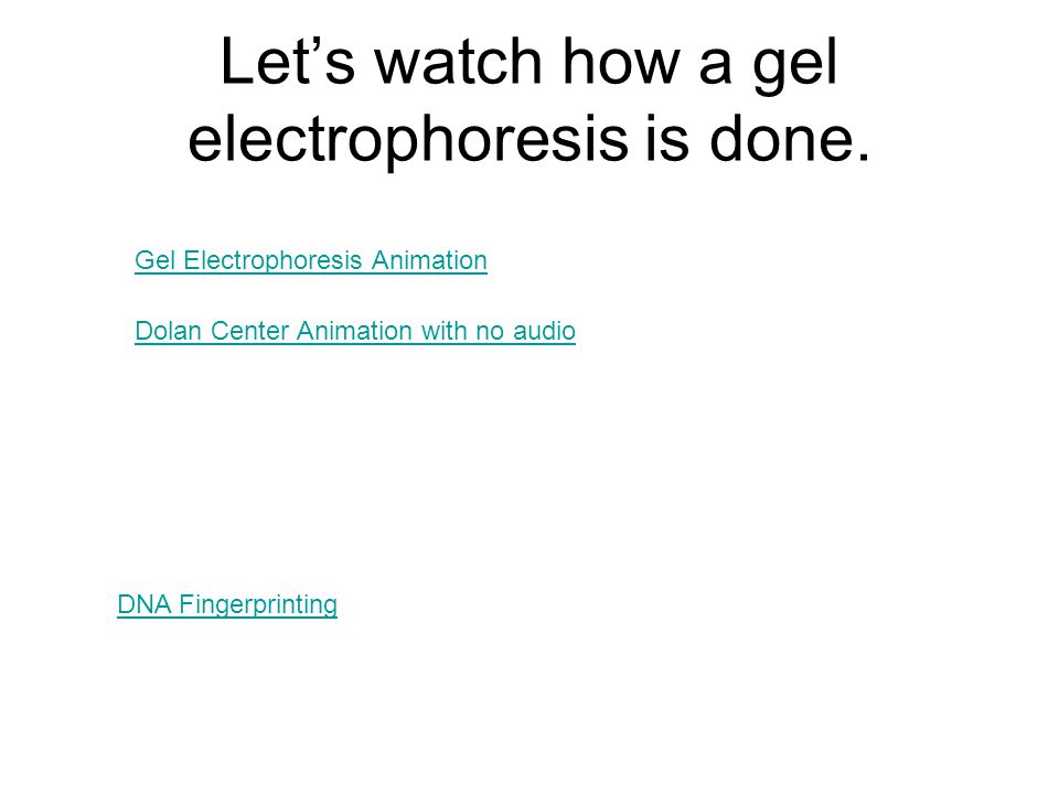 Gel Electrophoresis Animation Dolan Center Animation with no audio DNA Fingerprinting Let’s watch how a gel electrophoresis is done.