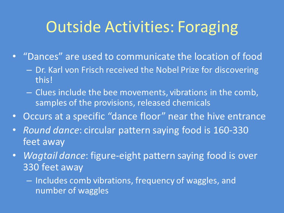 Outside Activities: Foraging Dances are used to communicate the location of food – Dr.