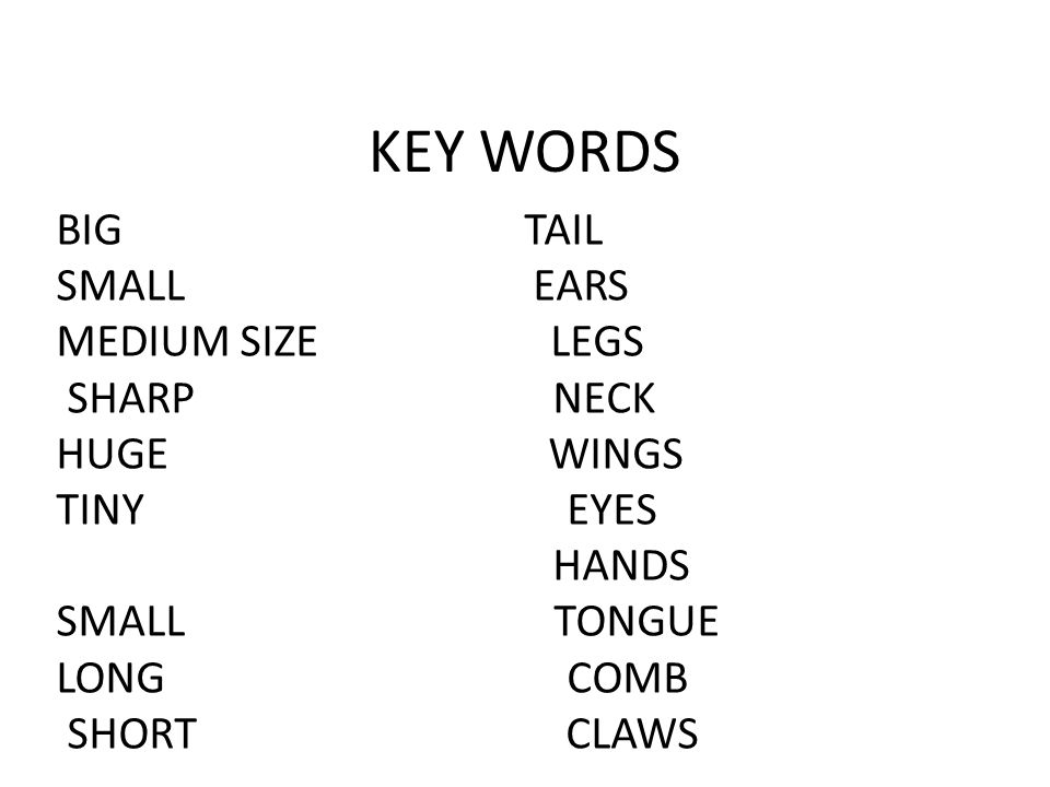 KEY WORDS BIG TAIL SMALL EARS MEDIUM SIZE LEGS SHARP NECK HUGE WINGS TINY EYES HANDS SMALL TONGUE LONG COMB SHORT CLAWS