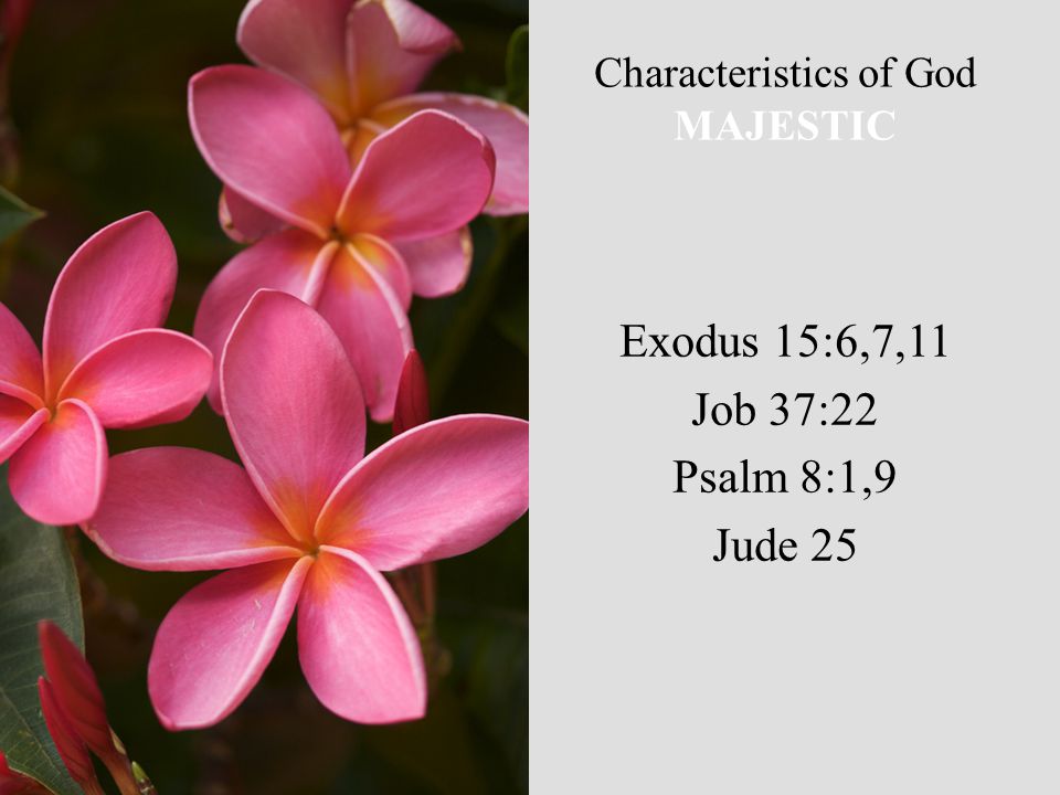 Characteristics of God MAJESTIC Exodus 15:6,7,11 Job 37:22 Psalm 8:1,9 Jude 25