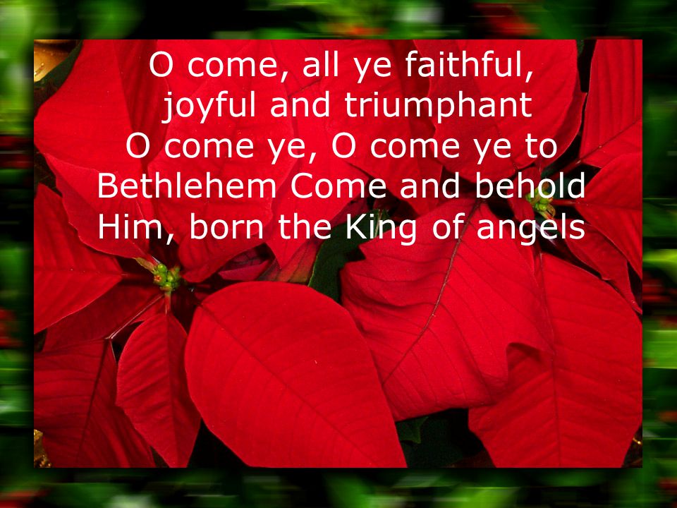 O come, all ye faithful, joyful and triumphant O come ye, O come ye to Bethlehem Come and behold Him, born the King of angels