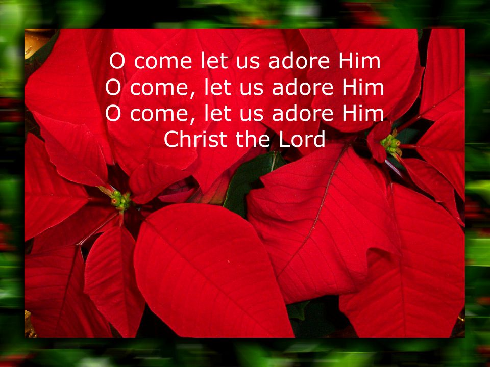 O come let us adore Him O come, let us adore Him O come, let us adore Him Christ the Lord