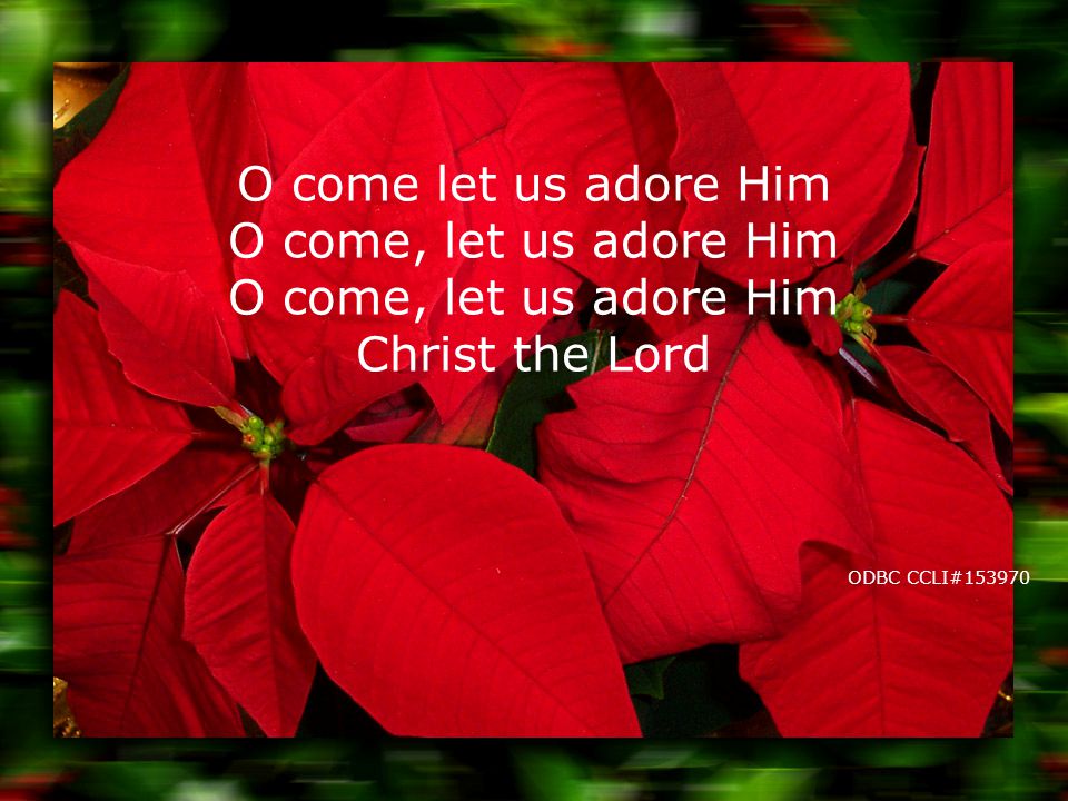 O come let us adore Him O come, let us adore Him O come, let us adore Him Christ the Lord ODBC CCLI#153970