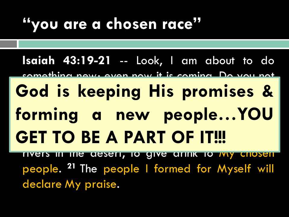 you are a chosen race Isaiah 43: Look, I am about to do something new; even now it is coming.