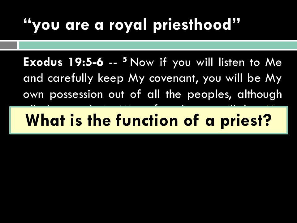 you are a royal priesthood Exodus 19: Now if you will listen to Me and carefully keep My covenant, you will be My own possession out of all the peoples, although all the earth is Mine, 6 and you will be My kingdom of priests and My holy nation.’ What is the function of a priest