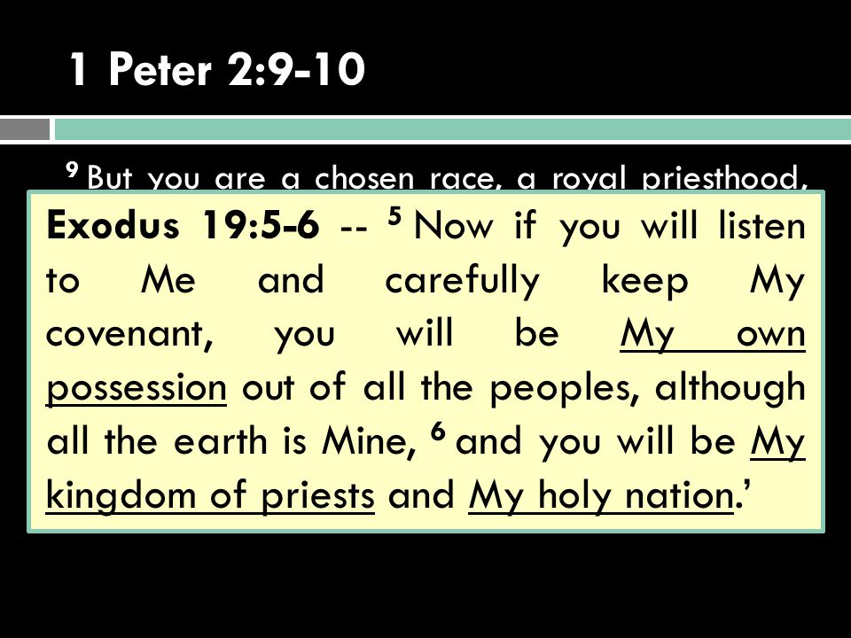 1 Peter 2: But you are a chosen race, a royal priesthood, a holy nation, a people for God’s own possession, so that you may proclaim the excellencies of Him who has called you out of darkness into His marvelous light; 10 for you once were not a people, but now you are the people of God; you had not received mercy, but now you have received mercy.