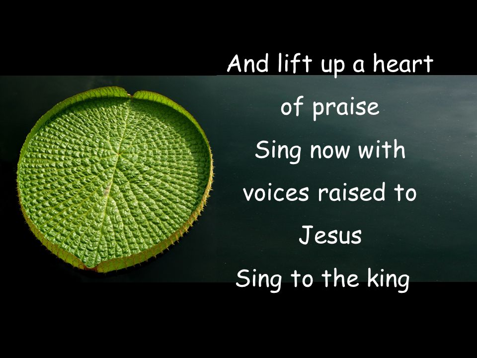 And lift up a heart of praise Sing now with voices raised to Jesus Sing to the king