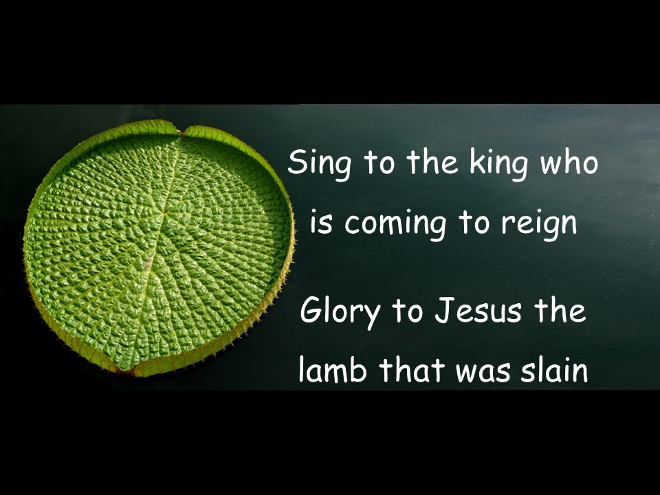 Sing to the king who is coming to reign Glory to Jesus the lamb that was slain